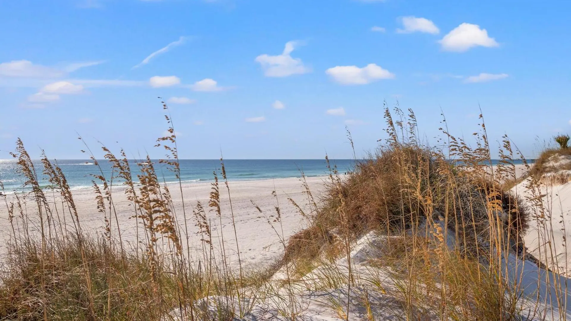 Tatil Evi Commodore 0804 Panama City Beach ABD